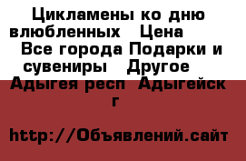 Цикламены ко дню влюбленных › Цена ­ 180 - Все города Подарки и сувениры » Другое   . Адыгея респ.,Адыгейск г.